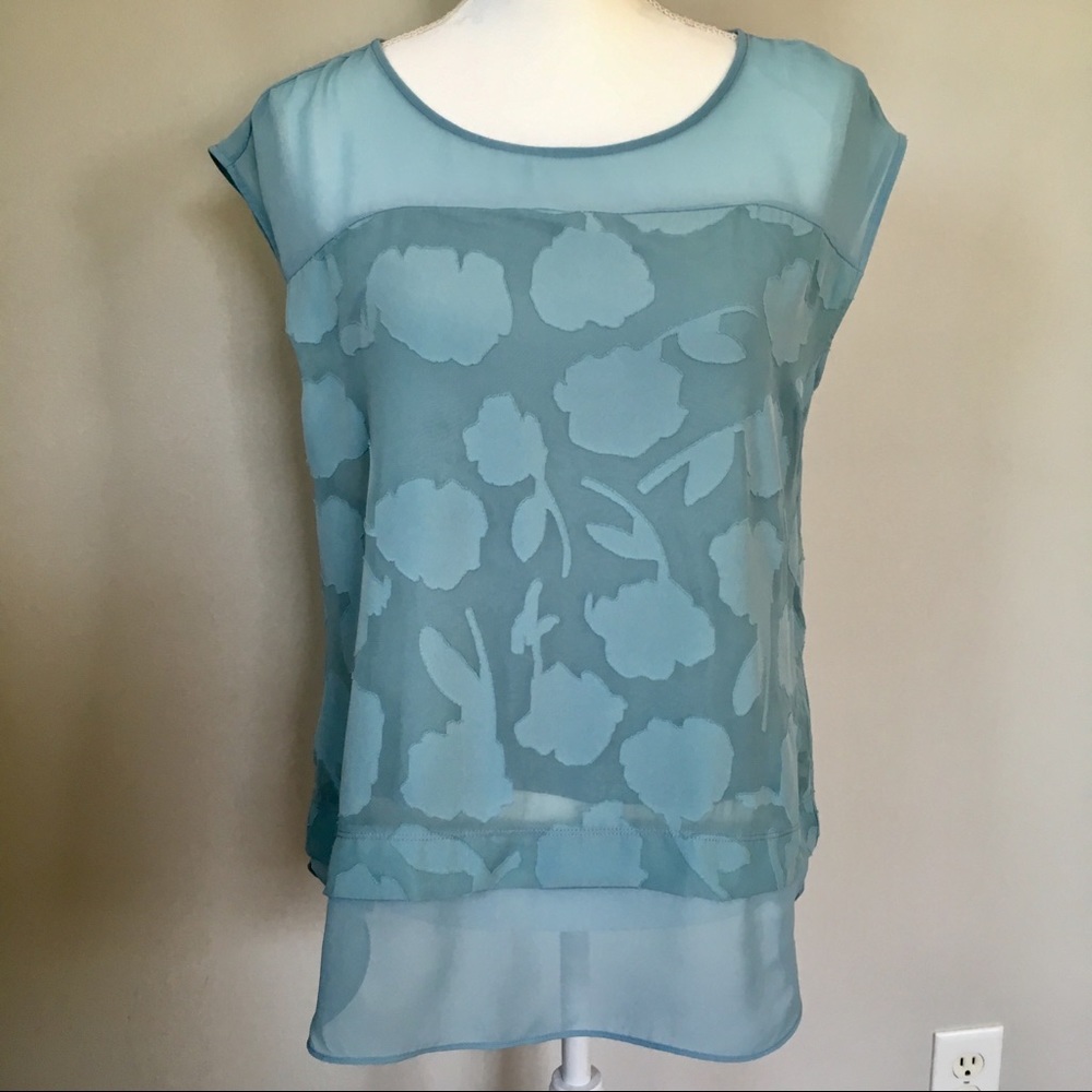 Ann Taylor Loft Gorgeous Top